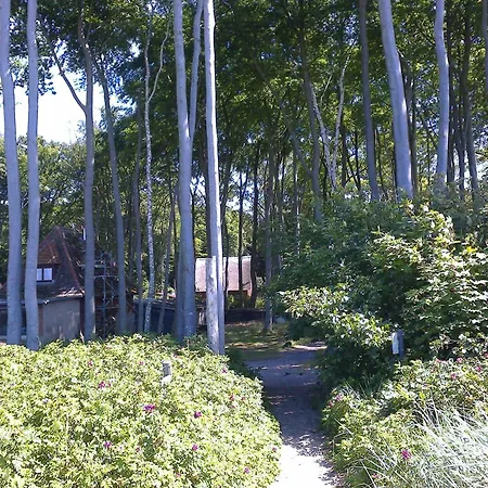 Am Gm 69668 * Graal-Mueritz