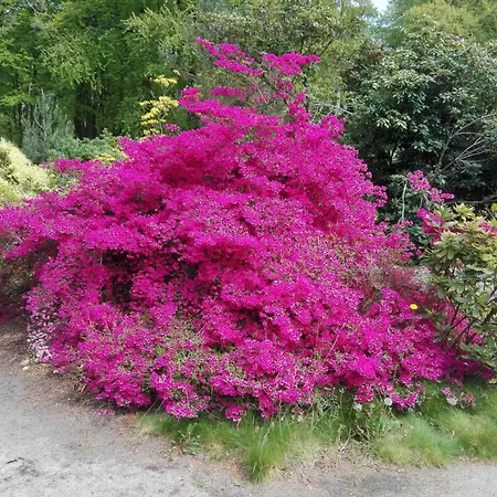 Casa de Férias Am Gm 69668 Graal-Mueritz