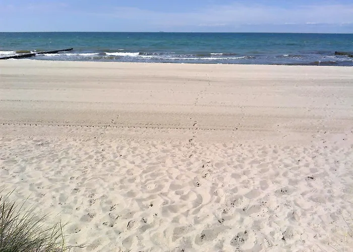 Сasa de vacaciones Am Gm 69668 Graal-Mueritz