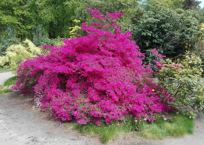 Сasa de vacaciones Am Gm 69668 Graal-Mueritz